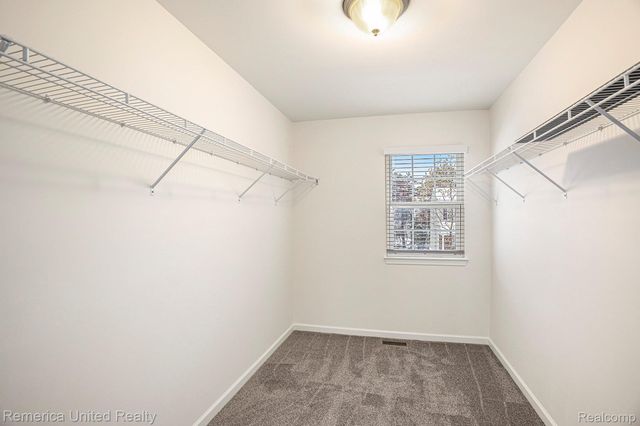 59696 Twin Pines Drive, Lyon Charter Township, MI 48165