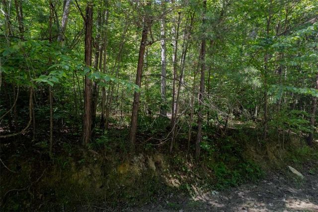 LOT 6 Heatherwood Way, Talking Rock, GA 30175
