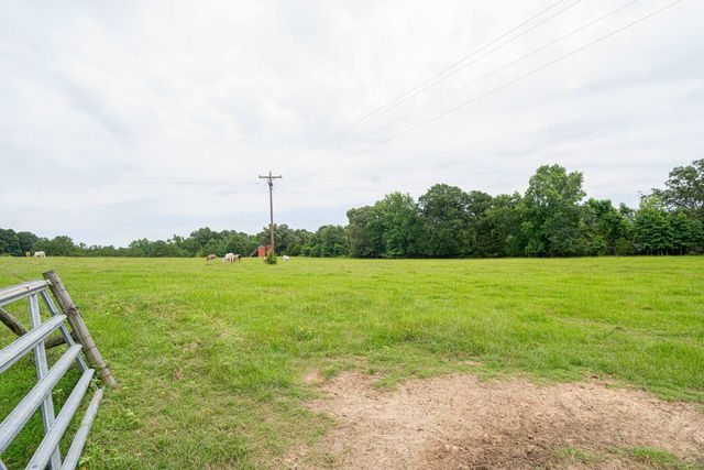 13557 State Highway 154 E, Diana, TX 75640