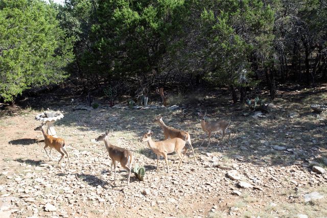 880 Cliffs Drive, Possum Kingdom Lake, TX 76449