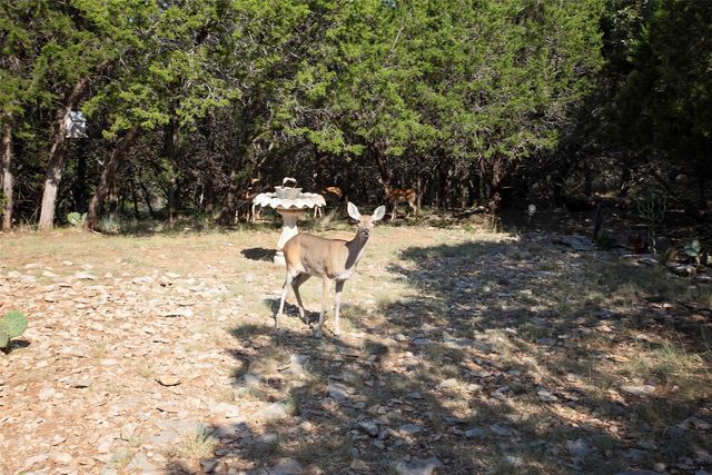 880 Cliffs Drive, Possum Kingdom Lake, TX 76449