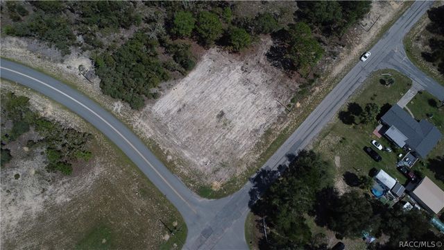 10429 N G Martinelli Boulevard, Citrus Springs, FL 34433