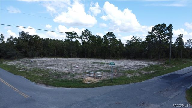 10429 N G Martinelli Boulevard, Citrus Springs, FL 34433