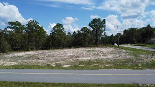 10429 N G Martinelli Boulevard, Citrus Springs, FL 34433