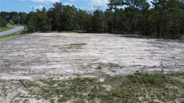 10429 N G Martinelli Boulevard, Citrus Springs, FL 34433