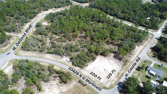 10429 N G Martinelli Boulevard, Citrus Springs, FL 34433