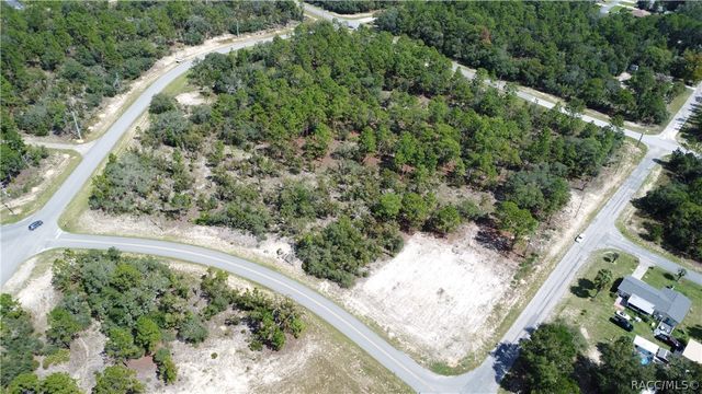 10429 N G Martinelli Boulevard, Citrus Springs, FL 34433