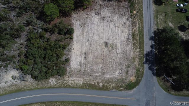 10429 N G Martinelli Boulevard, Citrus Springs, FL 34433