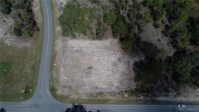 10429 N G Martinelli Boulevard, Citrus Springs, FL 34433