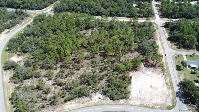 10429 N G Martinelli Boulevard, Citrus Springs, FL 34433