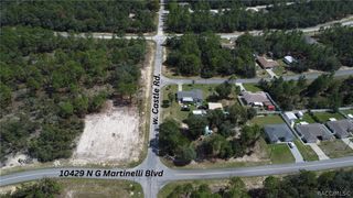 10429 N G Martinelli Boulevard, Citrus Springs, FL 34433