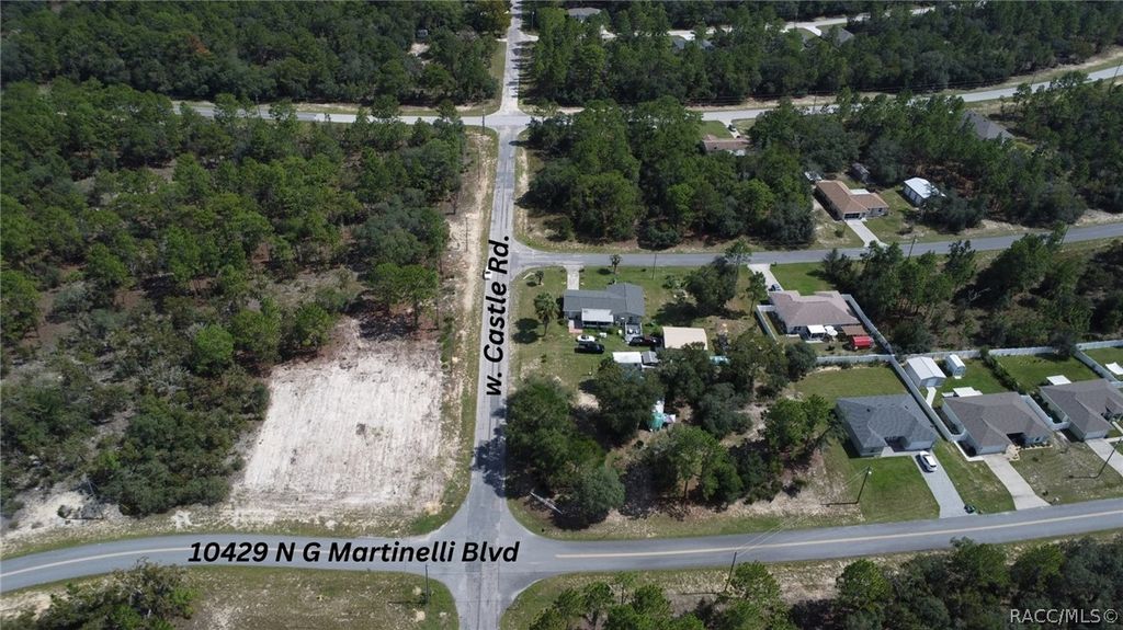 10429 N G Martinelli Boulevard, Citrus Springs, FL 34433