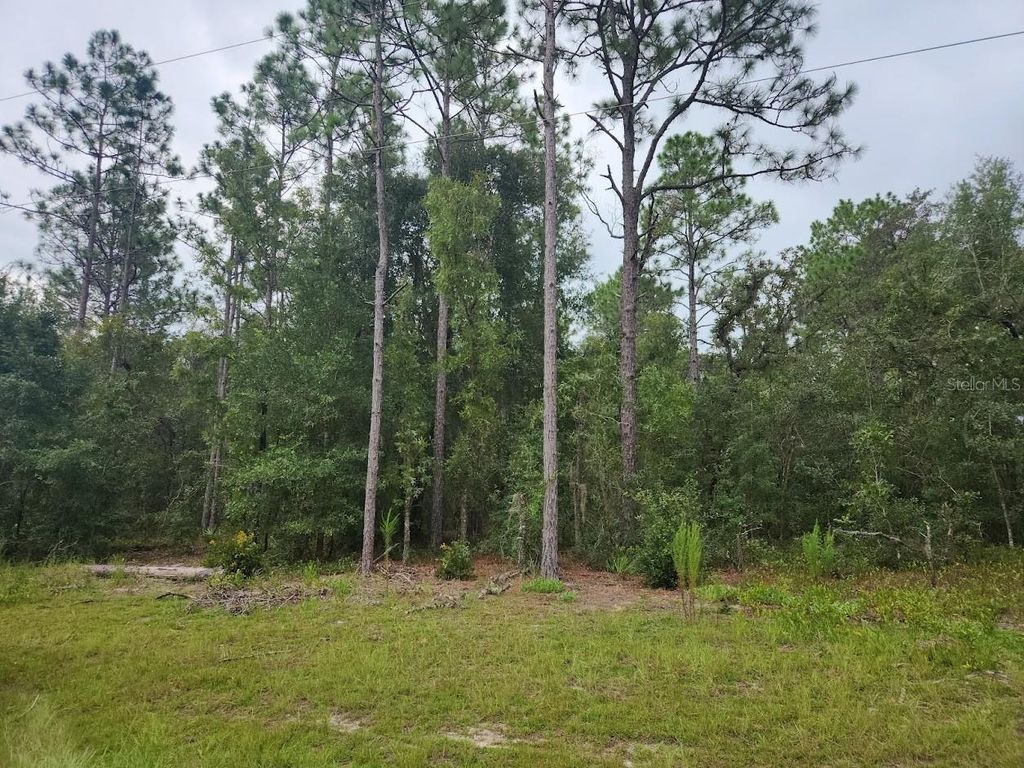 lot 24 SW 89TH CIRCLE, Ocala, FL 34473
