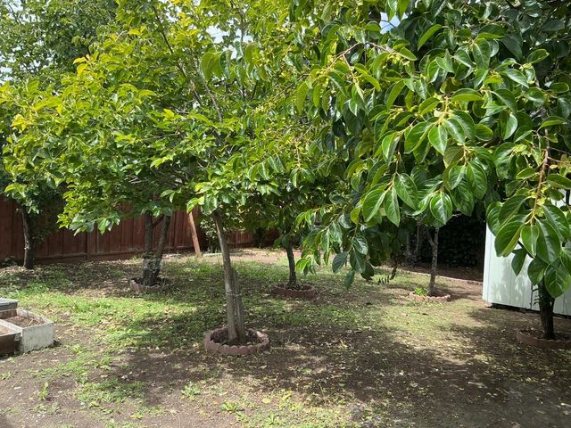 3021 Glendale Avenue, Redwood City, CA 94063