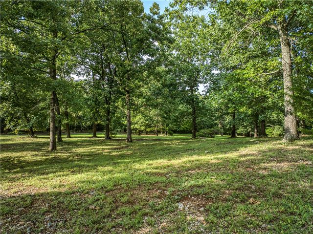 400 MC 2032, Yellville, AR 72687