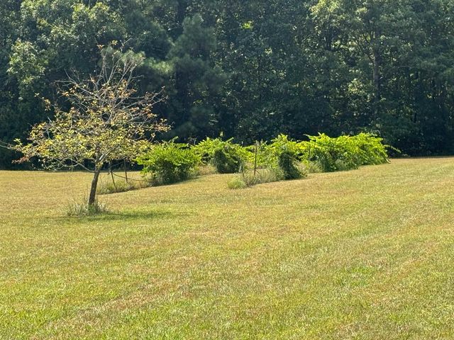 4003 Sunny Fox Rd, Mountain View, AR 72560