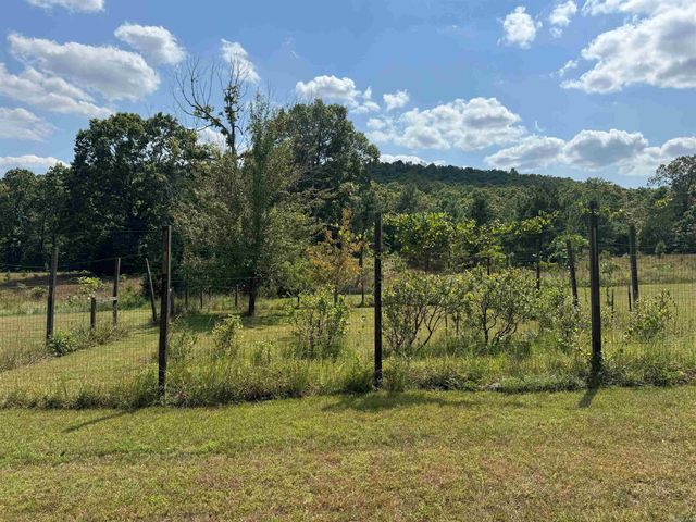 4003 Sunny Fox Rd, Mountain View, AR 72560