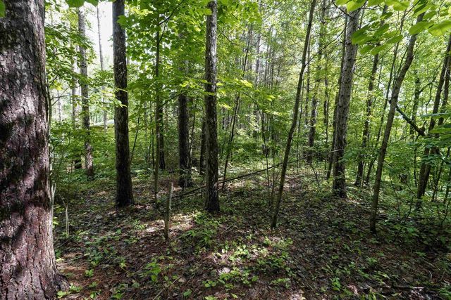 N4568 MALL LANE, Medford, WI 54451