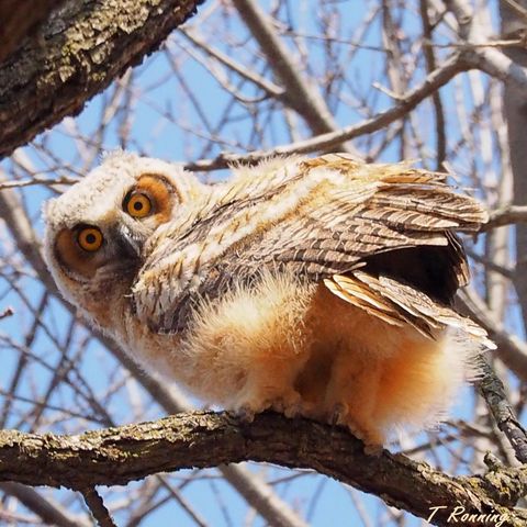 6466 Stillwater Boulevard N, Oakdale, MN 55128