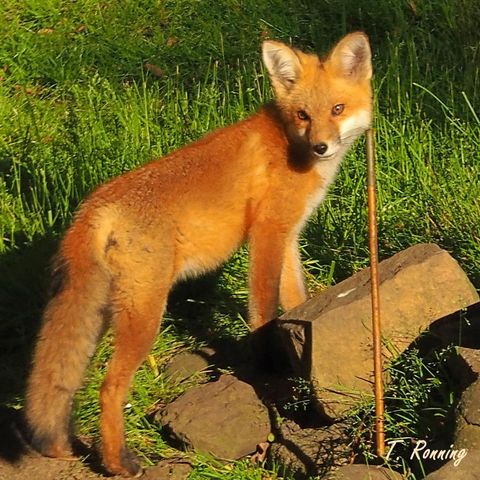 6466 Stillwater Boulevard N, Oakdale, MN 55128