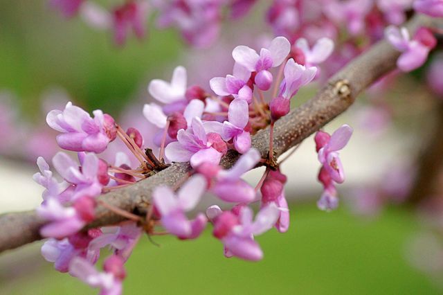 6466 Stillwater Boulevard N, Oakdale, MN 55128