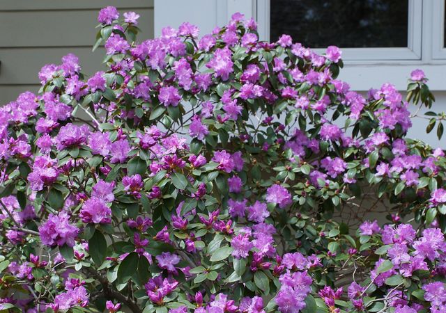 6466 Stillwater Boulevard N, Oakdale, MN 55128