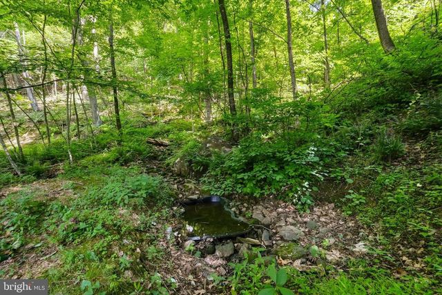 2411 QUAKER RUN RD, Banco, VA 22711
