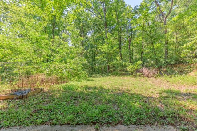 1558 Powder Springs Circle, Flintstone, GA 30725