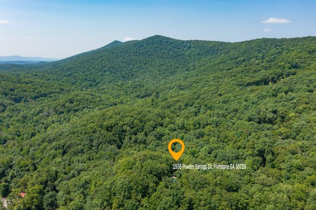 1558 Powder Springs Circle, Flintstone, GA 30725