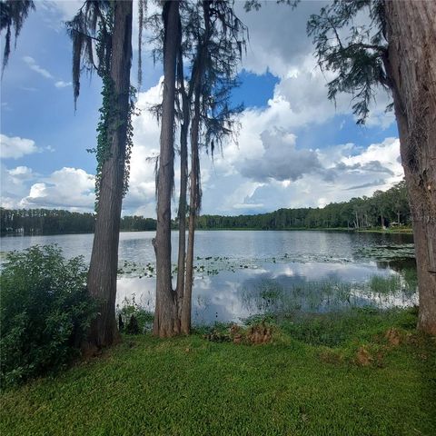 20182 COT ROAD 505, Lutz, FL 33558