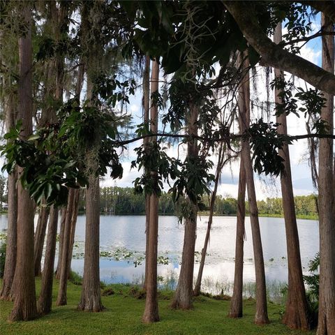 20182 COT ROAD 505, Lutz, FL 33558