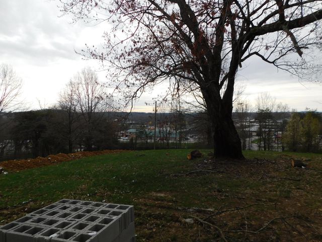 1634 Senator Lane, London, KY 40741