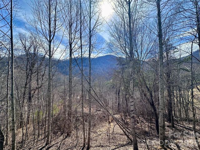 40 Shook Cove Road, Leicester, NC 28748