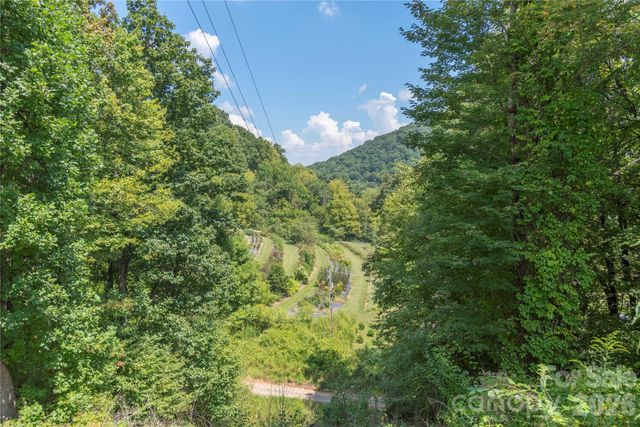 40 Shook Cove Road, Leicester, NC 28748