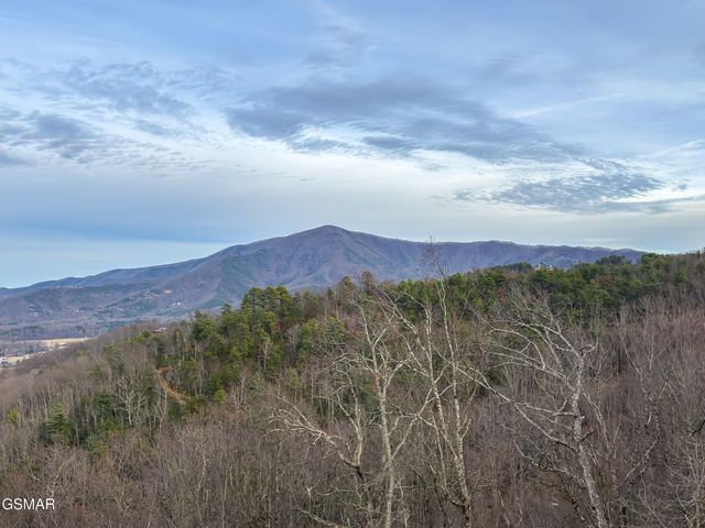 3201 Grouse Ridge Lane, Sevierville, TN 37862