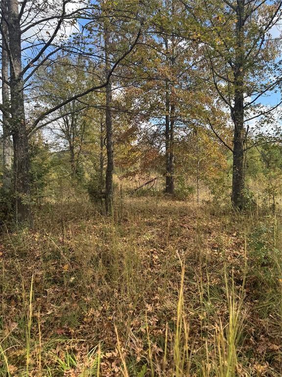 Image 2 of property listing at 315 Rosebud Road, Broken Bow, OK 74728