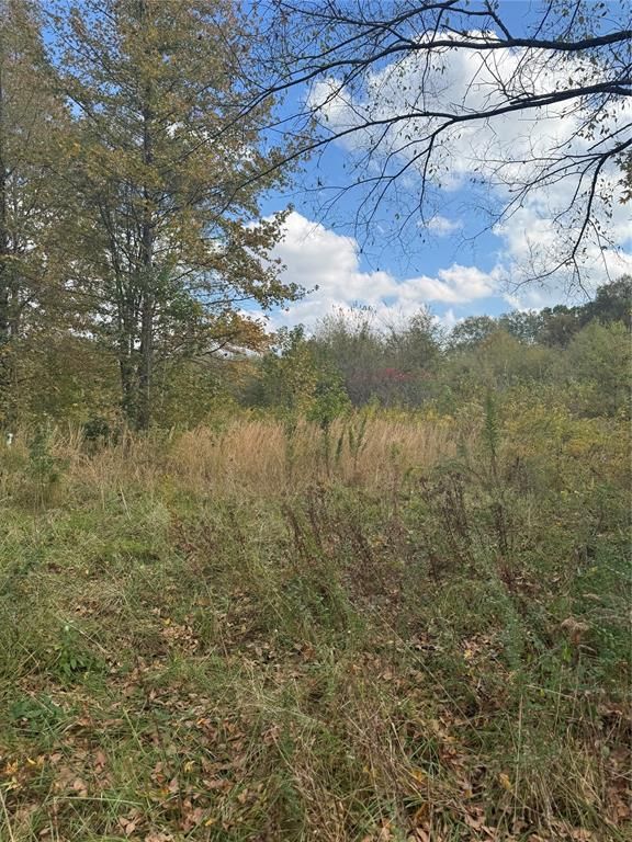 Image 3 of property listing at 315 Rosebud Road, Broken Bow, OK 74728