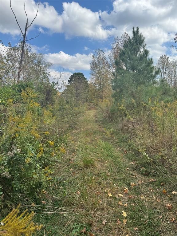 Image 4 of property listing at 315 Rosebud Road, Broken Bow, OK 74728