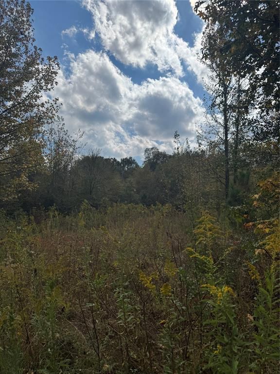 Image 5 of property listing at 315 Rosebud Road, Broken Bow, OK 74728