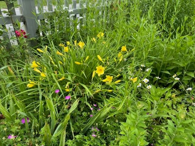 565 Main Street, Warren, VT 05674