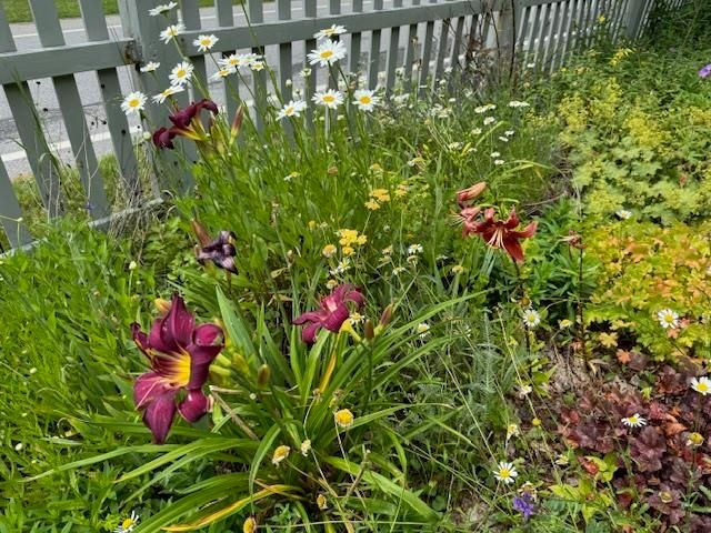 565 Main Street, Warren, VT 05674