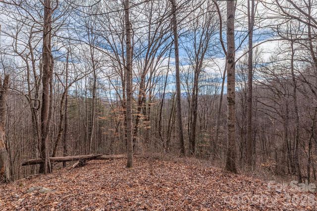00 Point Of View Drive 201, Waynesville, NC 28785