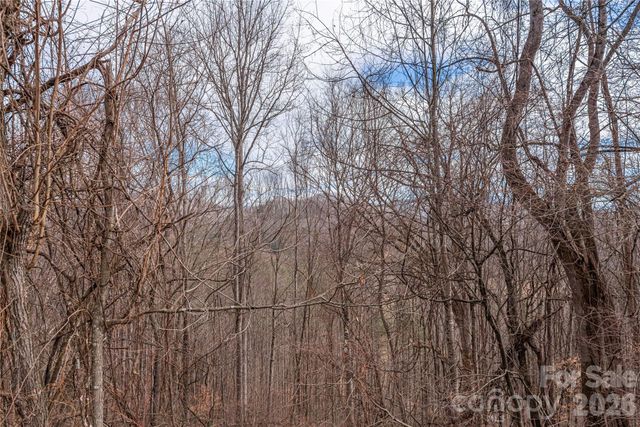 00 Point Of View Drive 201, Waynesville, NC 28785