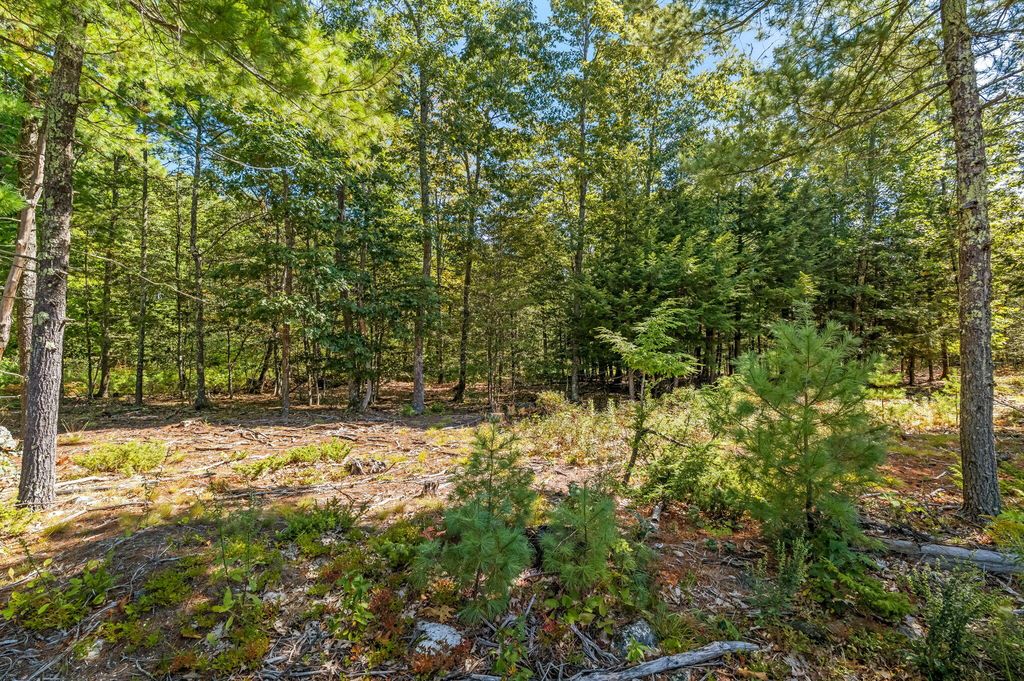 R06 047 Carding Machine Road, Bowdoinham, ME 04008 — photo 5