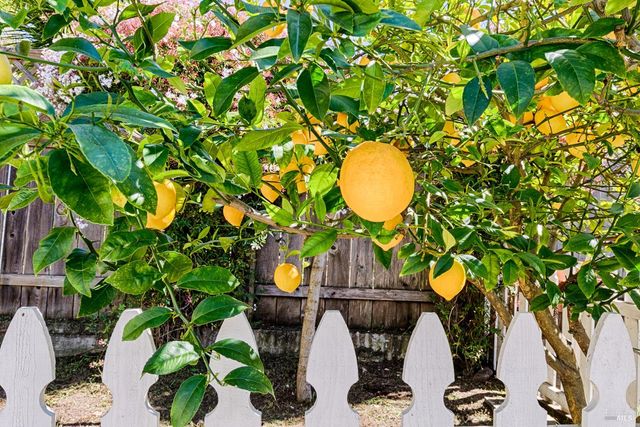 41 Meadow Ave, San Rafael, CA 94901