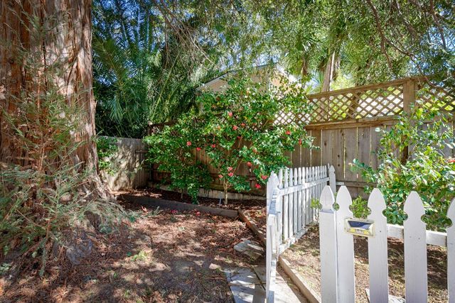 41 Meadow Ave, San Rafael, CA 94901