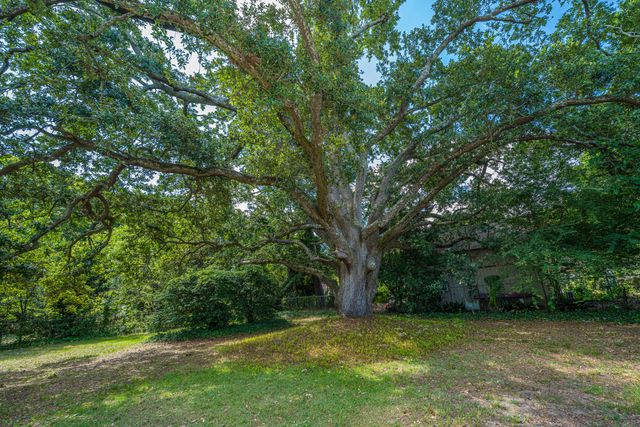 279 Hawthorne Street, Mount Pleasant, SC 29464