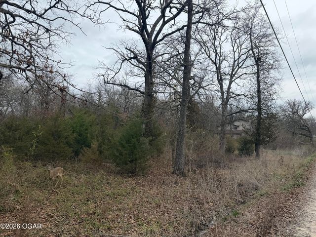 975 Malang Road, Joplin, MO 64804