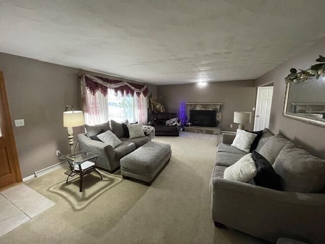 232 Lyn Brook Drive, Coldwater, MI 49036