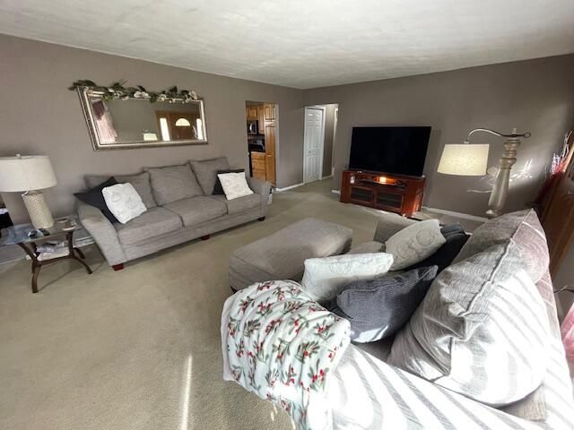 232 Lyn Brook Drive, Coldwater, MI 49036